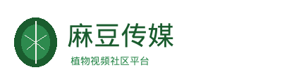麻豆传媒
